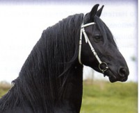 /album/fotogalerij/info-over-mezelf-jpg/