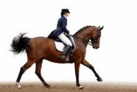 /album/fotogalerij/images-1-jpeg/